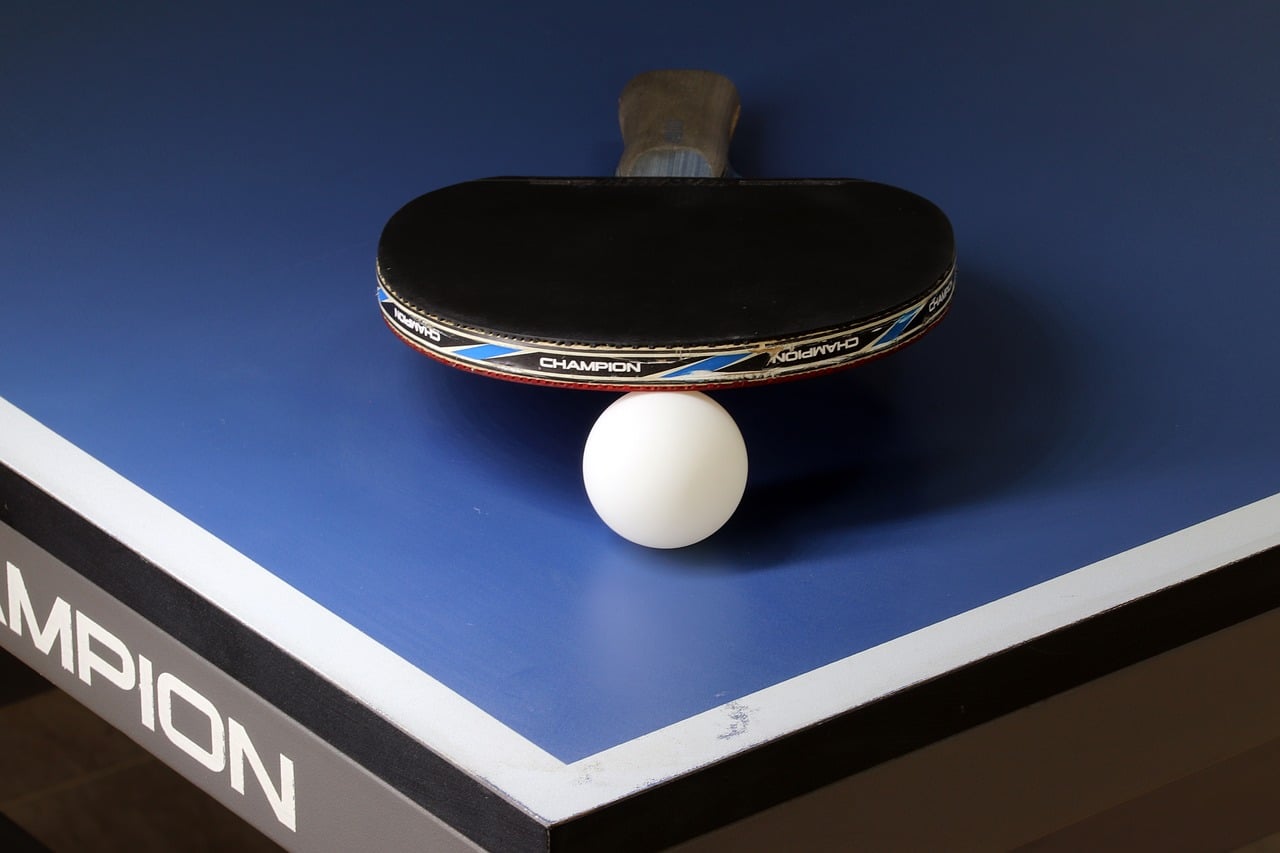 Die 5 Besten Tischtennisbelage Fur Anfanger Test 